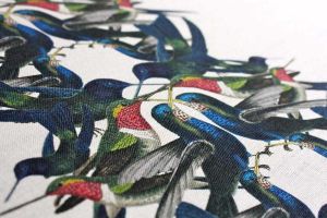 Tradescant & Son ткань Hummingbird Stripe